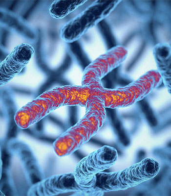 pre-implantation genetic diagnosis (PGD)